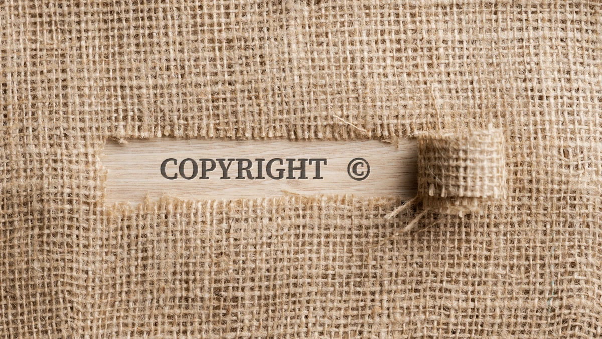 Propriété intellectuelle : brevets, marques et droits d’auteur